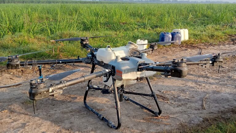 WhatsApp Image 2025-08-04 at 06.27.29_475ccd71