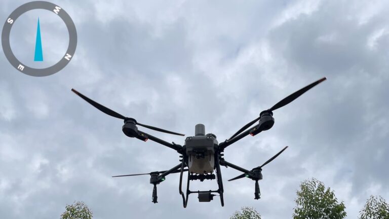 WhatsApp Image 2025-08-14 at 09.20.27_902e030e