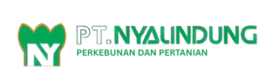 pt nyalindung-artguru